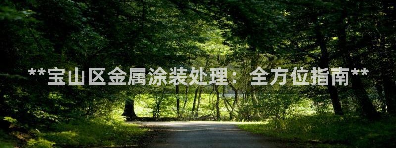 美高梅集团介绍
