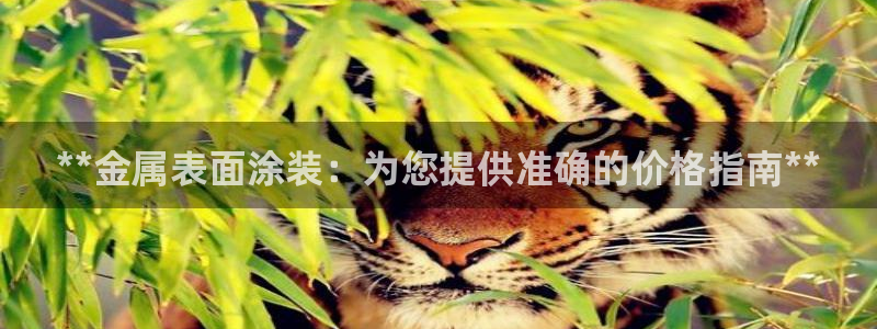 美高梅一积分多少钱