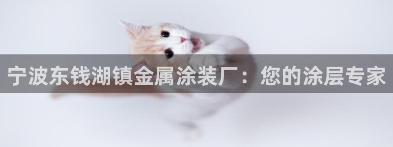 美高梅酒店是哪个集团