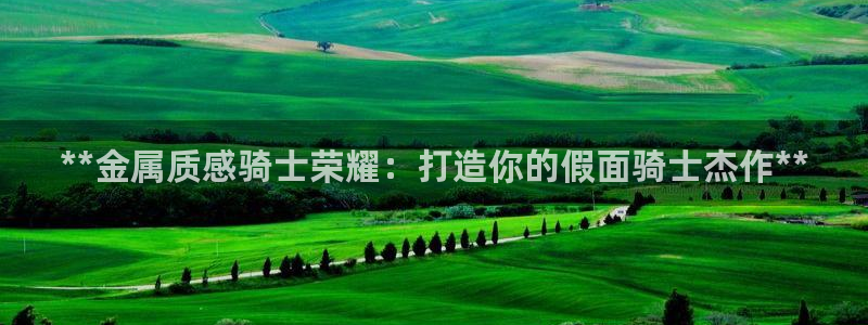 美高梅酒店集团简介