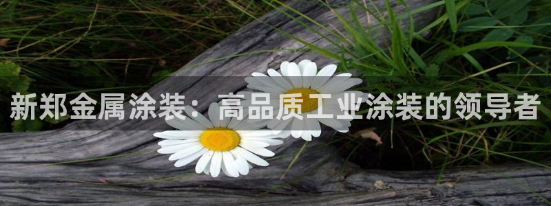美高梅别墅在哪里