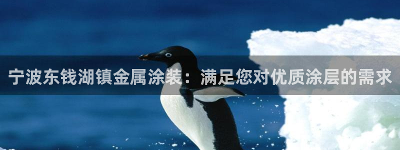 美高梅狮王卡值多少钱