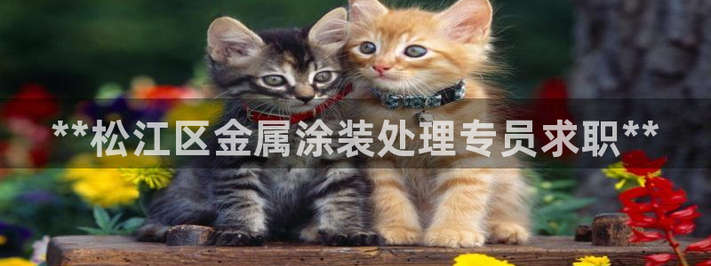美高梅至尊88卡需要多少钱