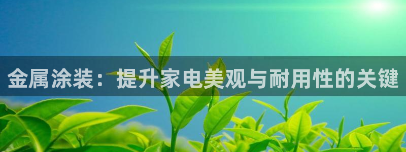 美狮美高梅酒店购物