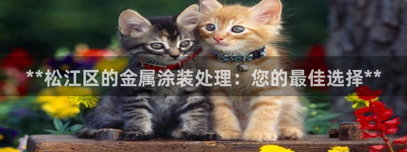 美狮美高梅酒店飞鱼表演时间