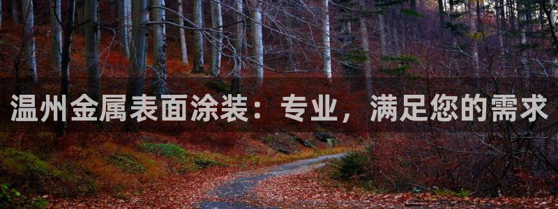 美狮美高梅酒店名字由来