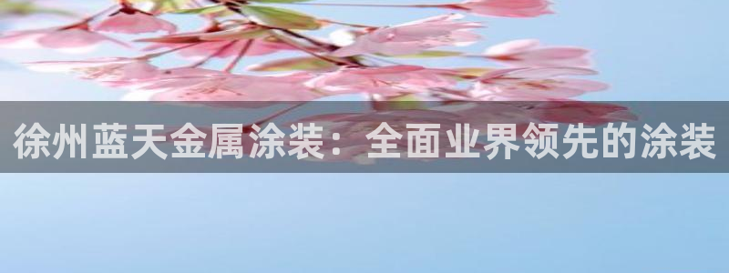 美高梅公司的业务范围