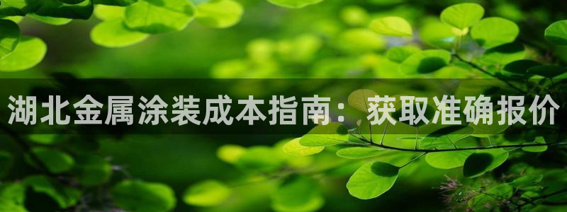 澳门新开美高梅的酒店