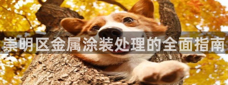 美高梅酒店客服热线