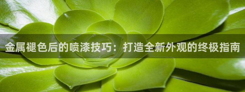 美狮美高梅酒店英语
