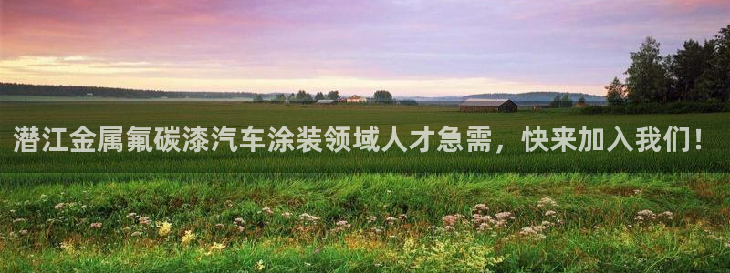 美高梅国际酒店集团和何超琼