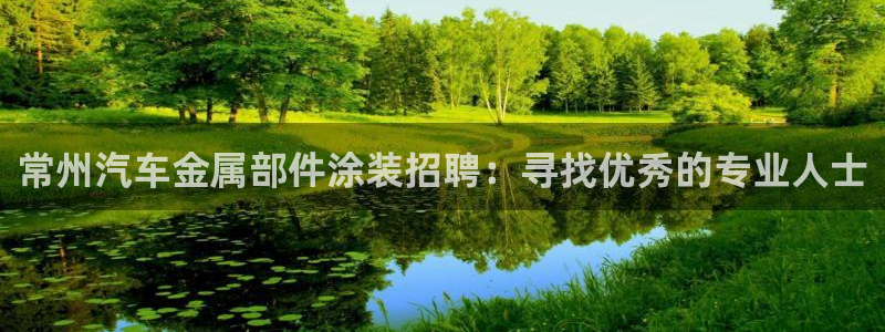 美狮美高梅酒店开业