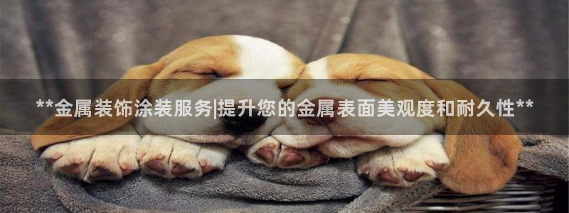 美狮美高梅百度百科