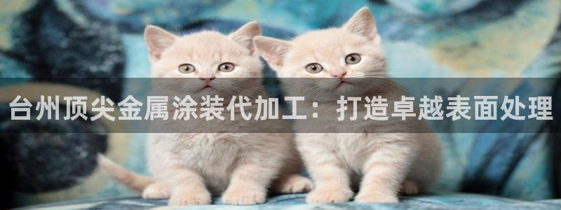 美高梅房价多少