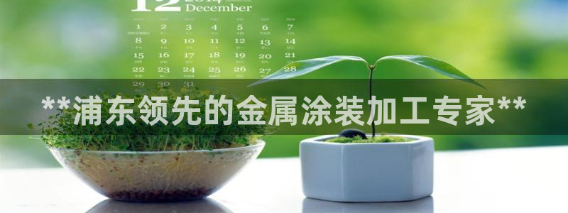 美狮美高梅酒店是几星