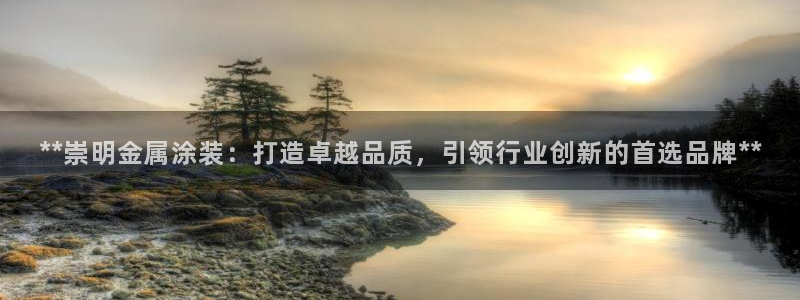 美高梅狮王卡是什么