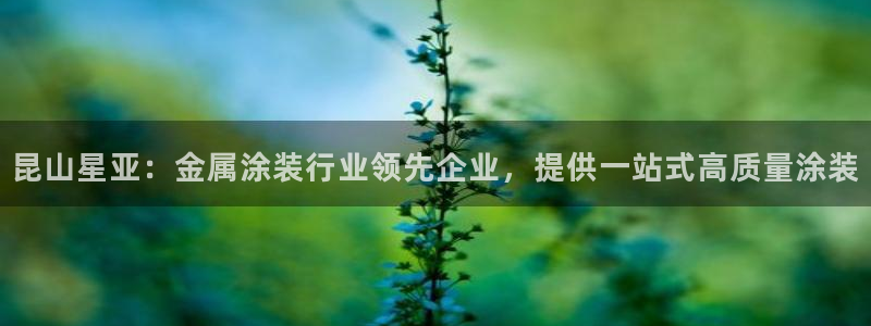 美高梅行政泳池
