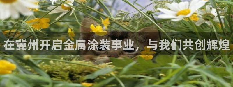 美高梅最低赌注是多少