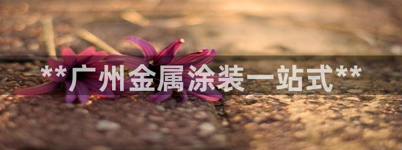美狮美高梅酒店贵还是摩泊斯贵