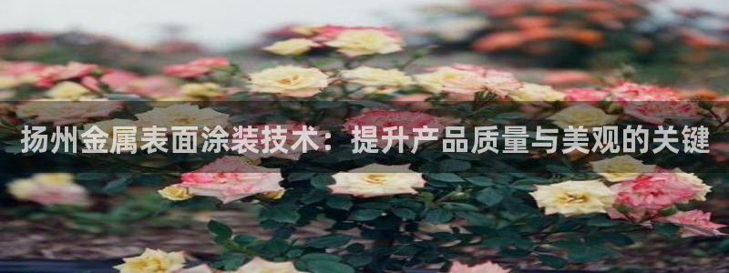 美高梅有提现成功的吗