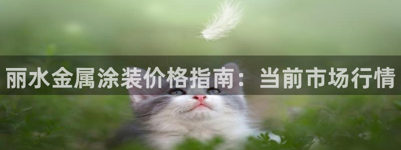美高梅怎么打不开了