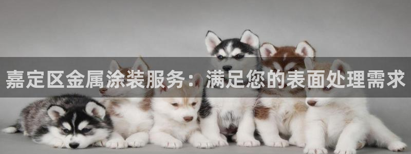 美高梅投资是真的吗