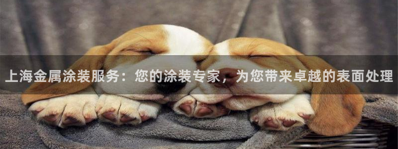 美高梅会员卡好用不