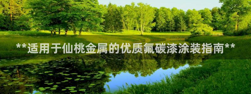 美高梅赌