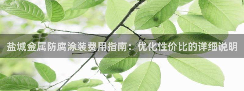 美高梅集团何超琼