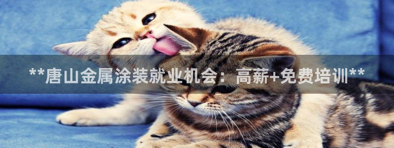 鲁能美高梅别墅容积率