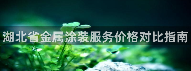 美高梅酒店在哪个区