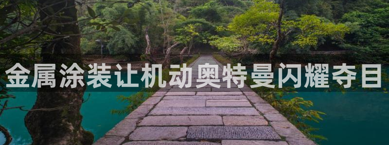 美高梅公司发展历程