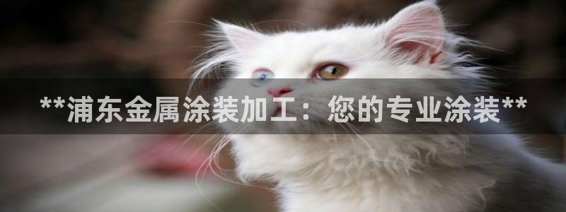 美高梅董事长是谁