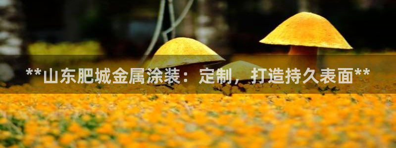 美高梅尊贵卡值多少钱