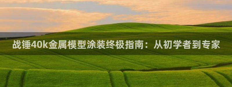 美高梅酒店可以带走的东西