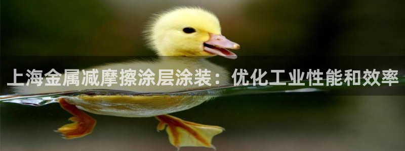 美高梅会员卡等级怎么分