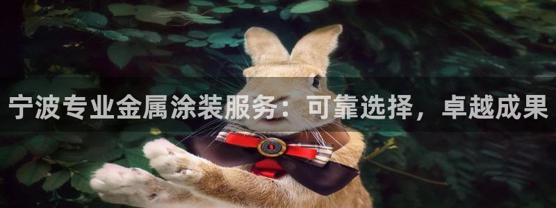 美高梅集团公司