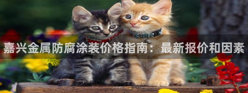 美高梅酒店图片