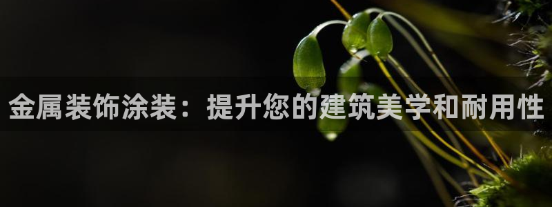 美高梅会员卡给邮寄吗