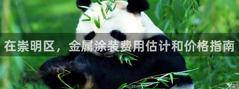 美高梅免费巴士接送时间