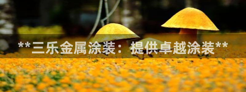 美狮美高梅酒店到官也街