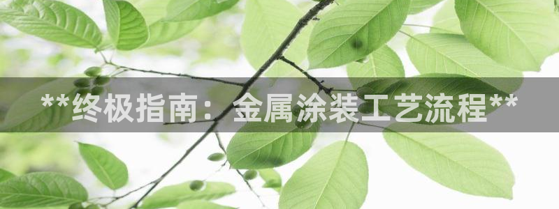 美高梅酒店匹配凯悦