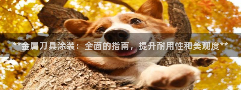 美高梅百款游戏推荐