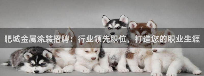 美狮美高梅酒店狮子一动代表什么