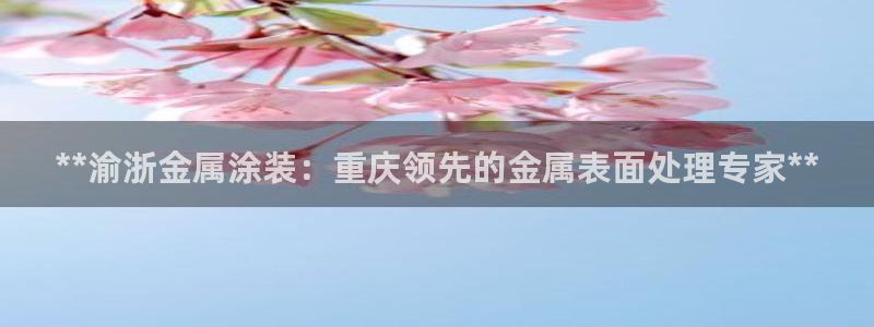 美高梅空气炸锅怎么样