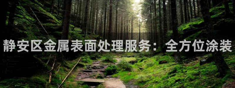 美高梅狮王卡是什么