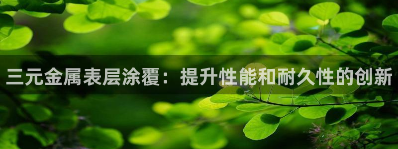 美高梅卡颜色等级