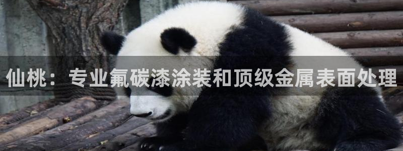 美高梅旁边还有什么酒店