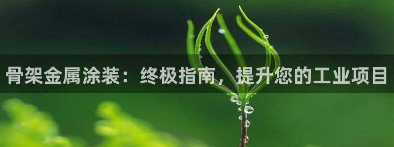 美高梅国际酒店集团介绍
