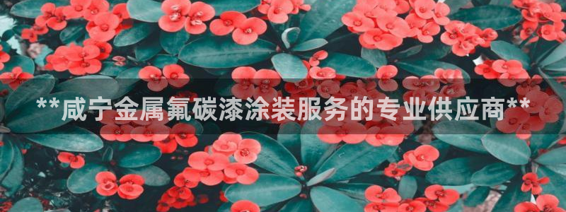 美狮美高梅酒店造价多少